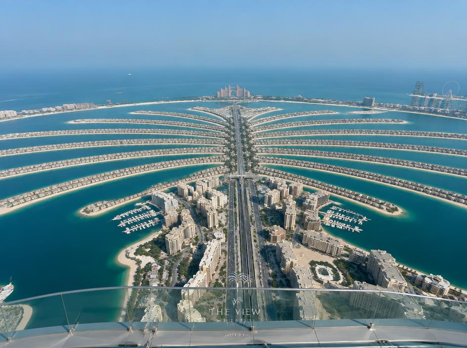 The View at The Palm